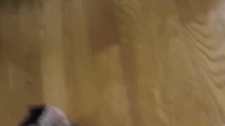 Witness nasty babe catch her piss in a clear container