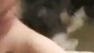 Asian Amateur Close-Up Pussy Webcam Action