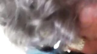 Granny's Blowjob Adventure