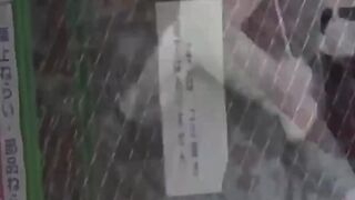 Japanese vixen drops undies for piss under a secret lens