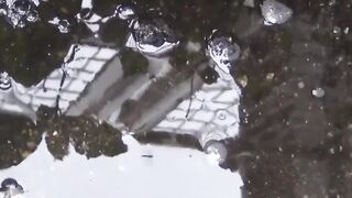 Voyeur follows numerous babes to film outdoor peeing