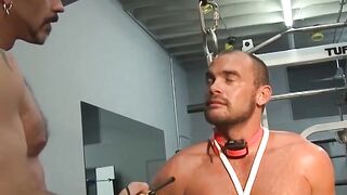 Jessie Balboa endures shaft and nuts tease from Colin Steele