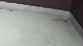 Hidden camera captures Japanese ladies golden streams