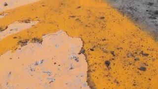 Japanese pussies pissing are voyeurs main camera target