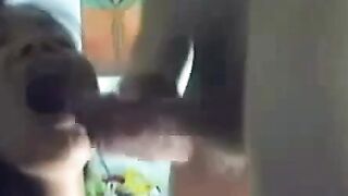 Amateur Asian Interracial Sex Tape With Her Boyfriend