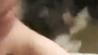 Asian Amateur Close-Up Pussy Webcam Action Hoe 2