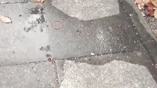 Voyeur camera witnesses various babes peeing outdoors