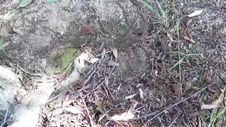 Distressed Japanese lady caught in camera urinating outdoors