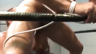Jessie Balboa tongues and fists boss Colin Steeles huge shaft