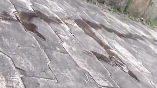 Shameless Asian babe pees outdoors in voyeuristic view