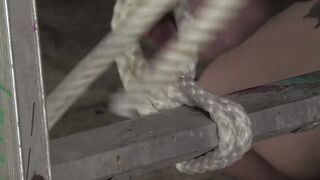 BoyDungeon.com - Blindfolded sub Luca Zavat endures sex toy  for master's plea