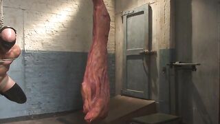 Christian Wilde plunges deep inside his bound captive Coby Mitchell