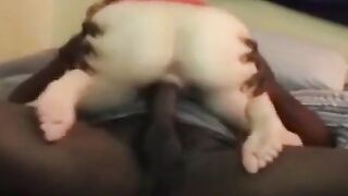 Skinny White Girl Takes on a Black Bull