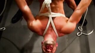 Drake Jadens hole rammed in parrots perch bondage position