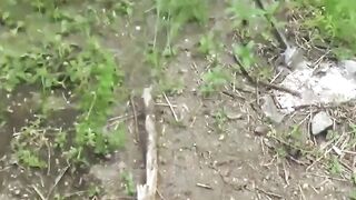 Distressed Japanese lady caught on camera urinating outside