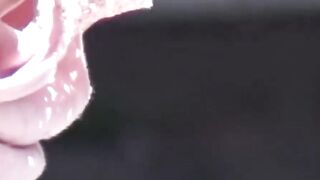 Oriental stunners taped while tits hang free and swing