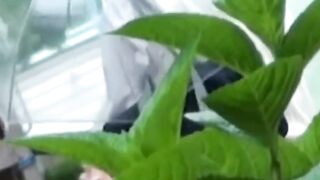 Rain didnt stop this Asian cutie from fingering her twat outdoors