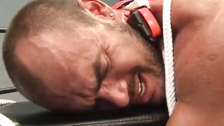 MuscleJockBound.com - Colin Steele retakes control over bound Jessie