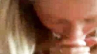Amateur Blowjob Homemade Fun