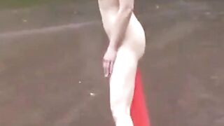 Asian chick's public anal ride