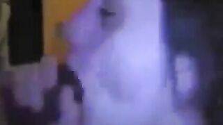 Cheating girl's anal adventure with a black cock on webcam