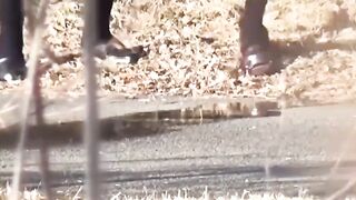 Covert lens sees Japanese girls crouching for outdoor piss