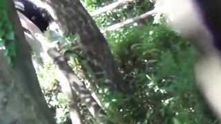 Voyeur films Asian women making puddles ina  public park