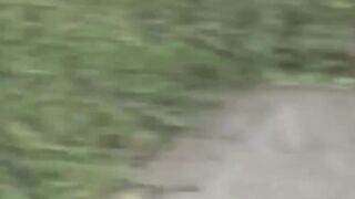 Japanese teen girls pee all over the place