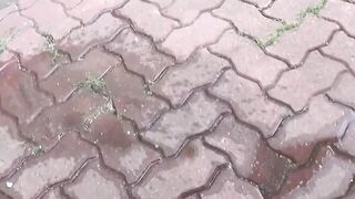This vixen blushes after outdoor pee exposure catch
