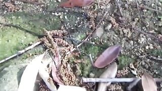 Upset Japanese woman was caught on cam peeing outdoors