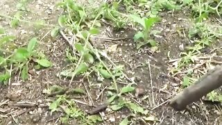 Upset Japanese woman was caught on cam peeing outdoors