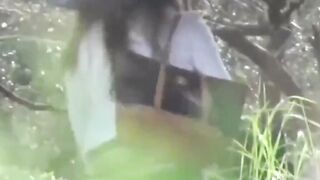 Scent following voyeur catches cuties marking wet trails