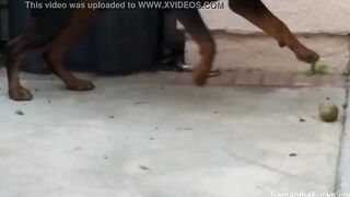 Samantha Saint tease