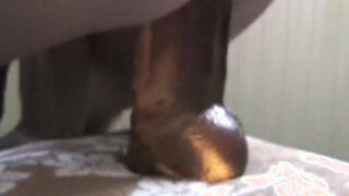 Once upon a time there was a vibrator inside my goddess booty!