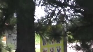 Run and release women who pee under city trees in a rush