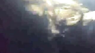 Pusenje Serbian Amateur Adult Video