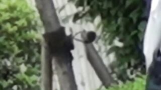 Downpour fails to halt this Asian babe probing vag outdoors