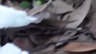 Japanese schoolgirl caught peeing in public by voyeur