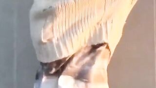 Restrained Asian babes peeing down pant legs