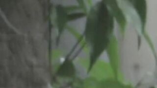 Asian student strokes her vag and streams golden outdoors
