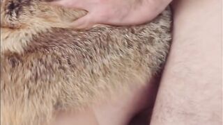 Big Dick in Tight Ass – Hardcore Anal Creampie