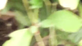 Japanese squirters caught midstream flee with wet stilettos