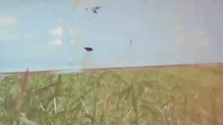 Camera films stunners spraying piss outdoors in daylight