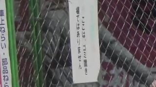 Japanese vixens spray urine from bushy slits in the restroom