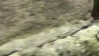 Thong removing babes unleash a full stream all over town