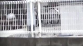 Thong removing babes unleash a full stream all over town