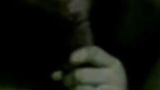 Malay Babe Hashimah Cheras Blowjob