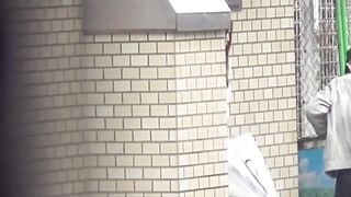 Japanese women hike their skirts to urinate in the restroom