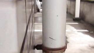 Japanese public squirters squats and hide the yellow puddle