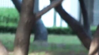 Asian Compilation - Piss Play With Small Breasted Babes